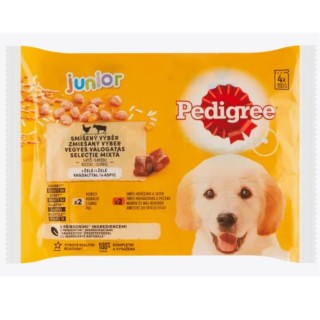 Pedigree 100gx 4ks kapsička junior smíšený výběr v želé dog AKCE